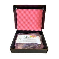 Chevrolet/GMC LLY Injector Driver / FICM