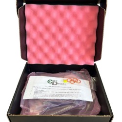 Chevrolet/GMC LLY Injector Driver / FICM