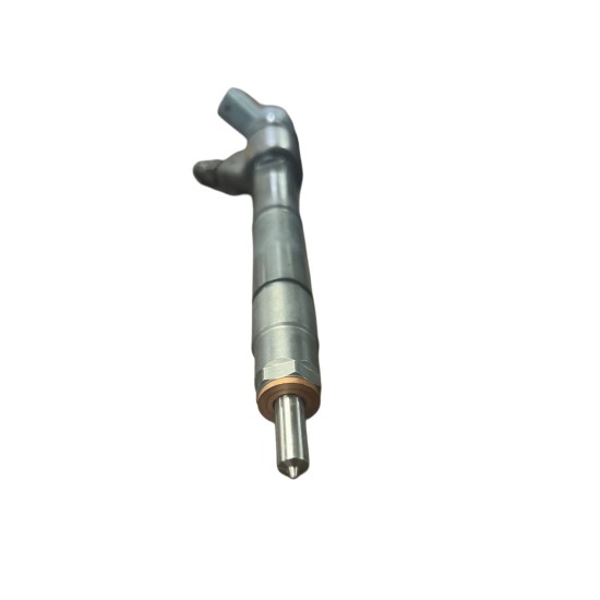 0445110656 Case-New Holland Fuel Injector 0445110656 Case-New Holland Fuel Injector