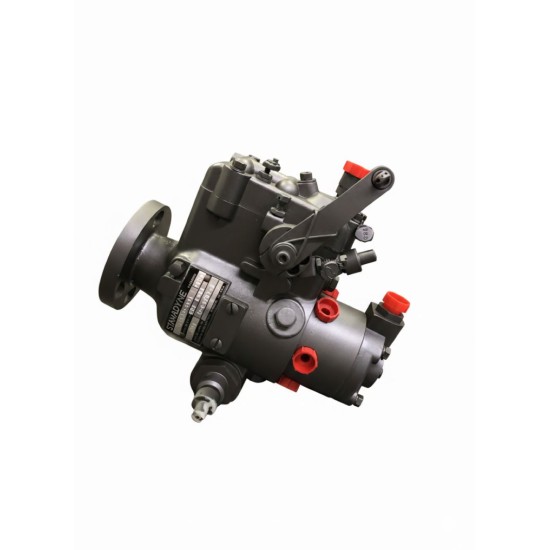 C69707B Waukesha Fuel Injection Pump